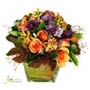 Flowers For Everyone - Beautiful, fresh quality flowers