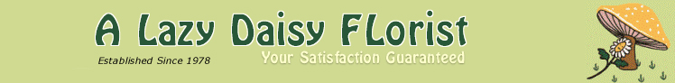 A Lazy Daisy Florist